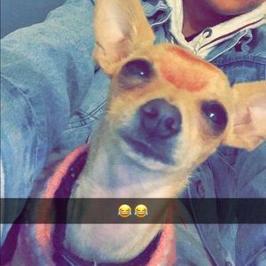 Meet your Posher, Serafin